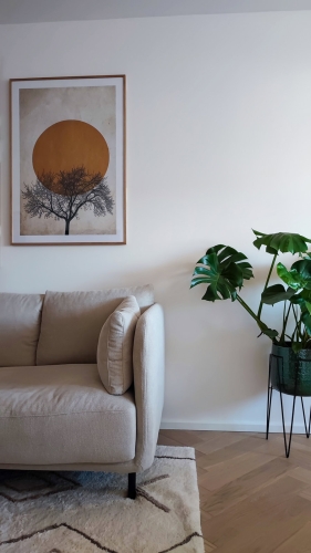 PROJET-UN-NID-D-AMOUR-SIX-FOURS-LES-PLAGES-CANAPE-PLANTE-SALON