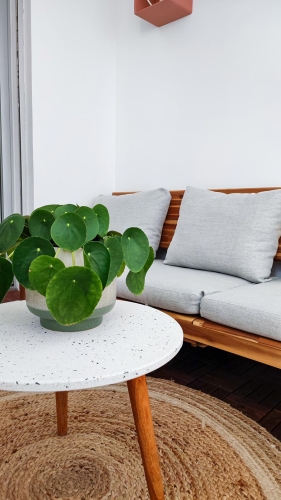 PROJET-UN-NID-D-AMOUR-SIX-FOURS-LES-PLAGES-CANAPE-SALON